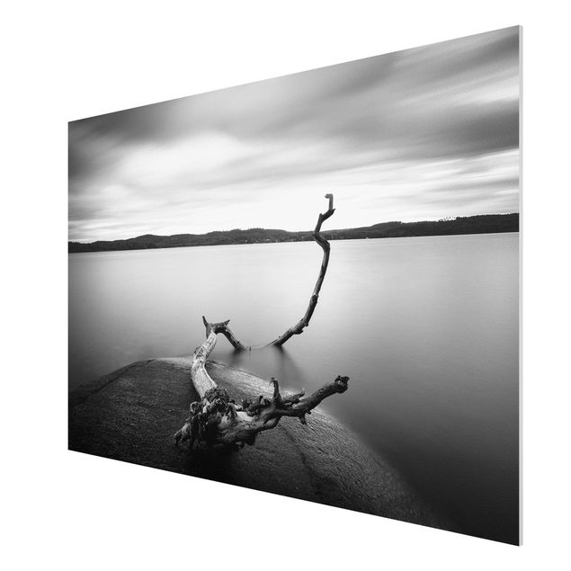 Forex schilderijen Sunset In Black And White By The Lake