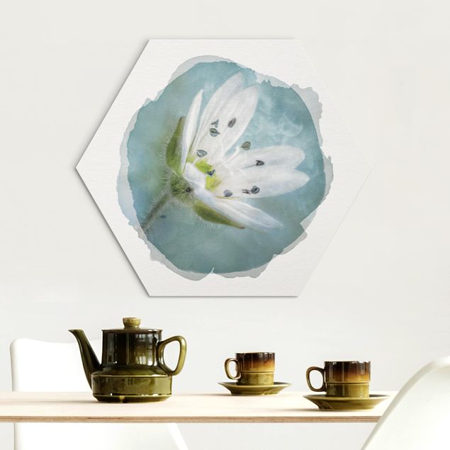 Hexagons Aluminium Dibond schilderijen Wasserfarben - Weiße Blüte auf blau