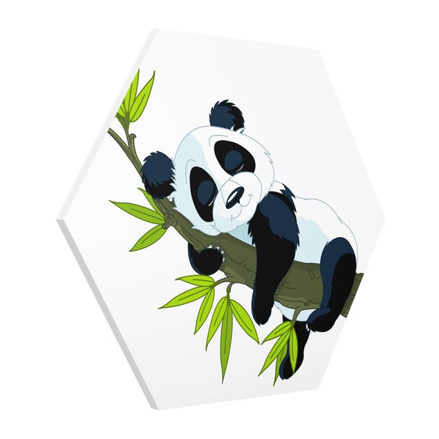 Hexagons Forex schilderijen Sleeping Panda