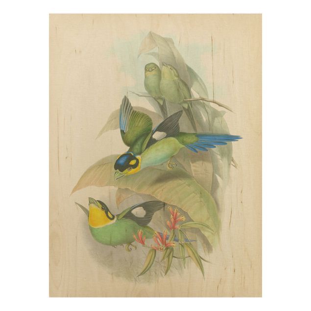 Houten schilderijen Vintage Illustration Tropical Birds