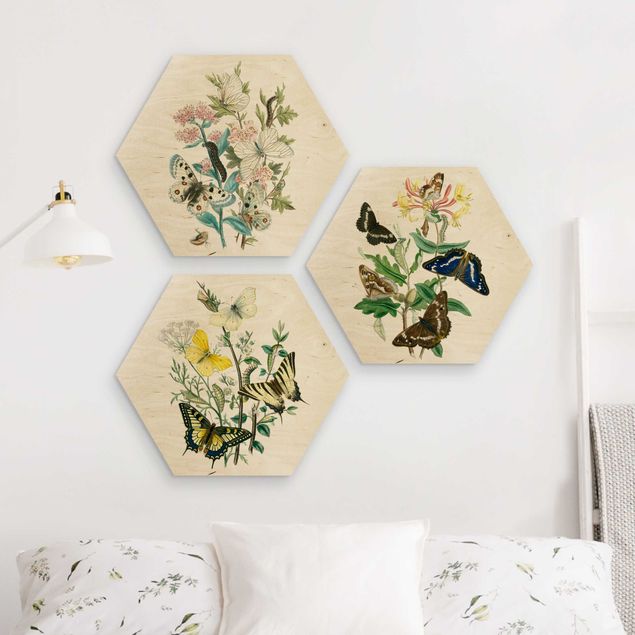 Hexagons houten schilderijen - 3-delig British Butterflies Set I