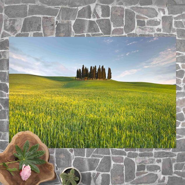 Vloerkleed modern Green Field In Tuscany
