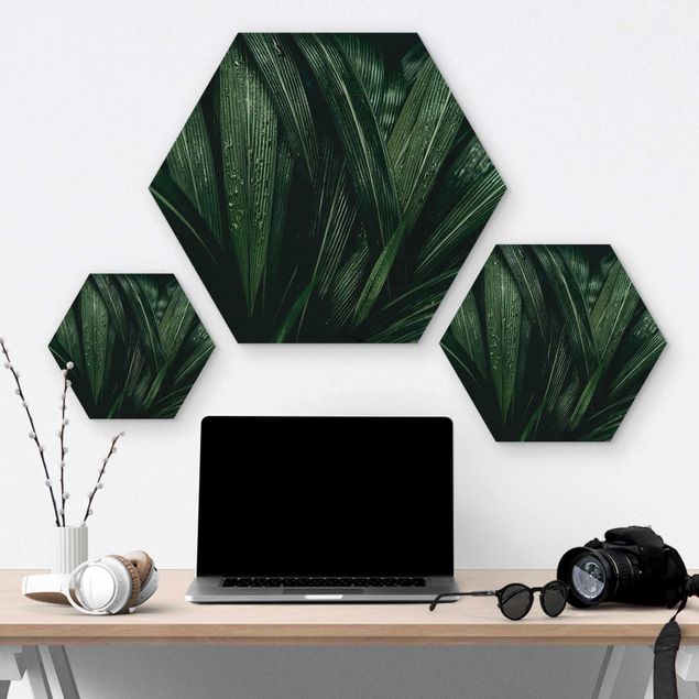 Hexagons houten schilderijen Green Palm Leaves