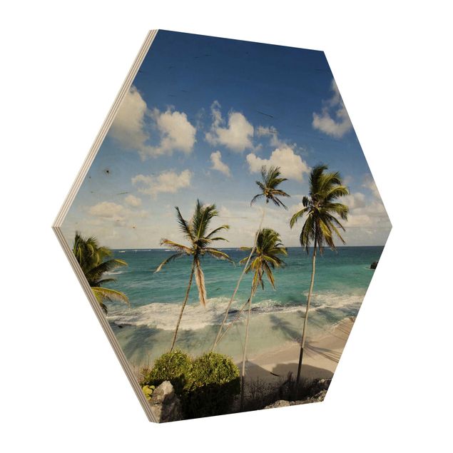 Hexagons houten schilderijen Beach Of Barbados