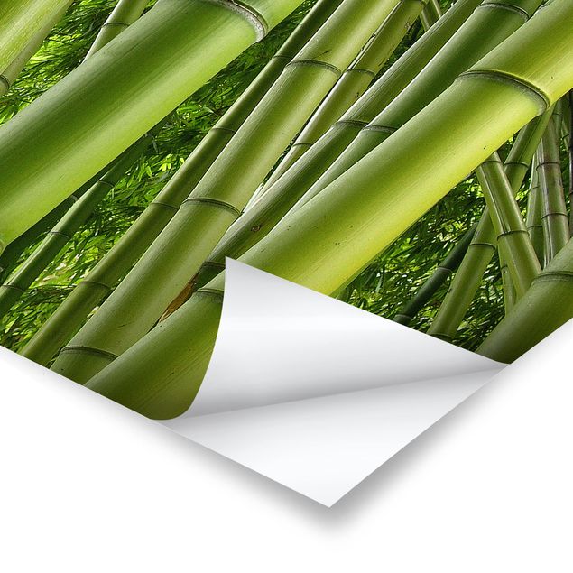 Posters Bamboo Trees No.2