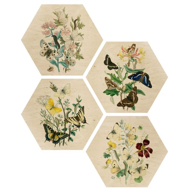 Hexagons houten schilderijen - 4-delig British Butterflies Set II
