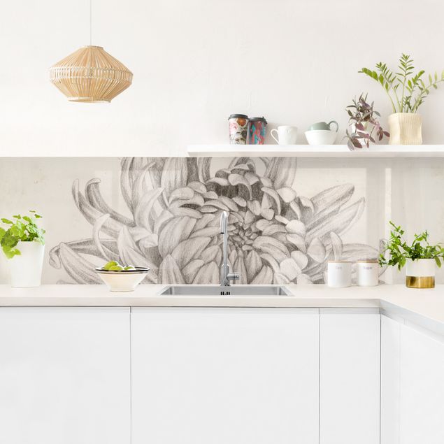 Achterwand voor keuken Botanical Study Chrysanthemum I