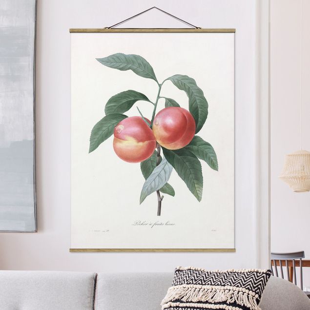 Stoffen schilderij met posterlijst Botany Vintage Illustration Peach