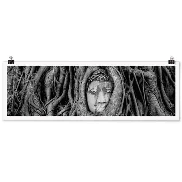 Posters Buddha In Ayutthaya Lined From Tree Roots In Black And White