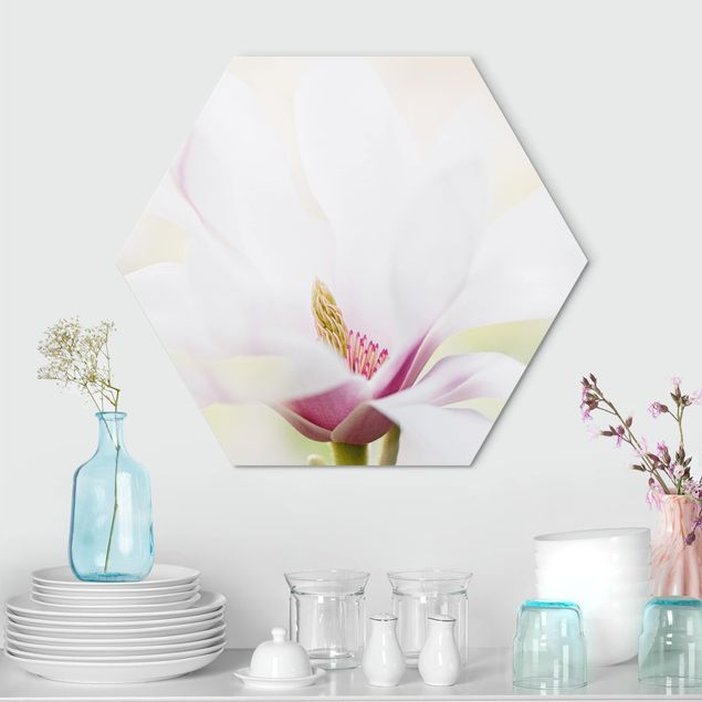 Hexagons Aluminium Dibond schilderijen Delicate Magnolia Blossom