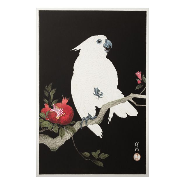 Aluminium Dibond schilderijen Asian Vintage Illustration White Cockatoo