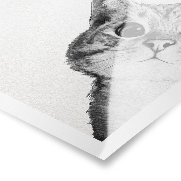 Posters Illustration Cat Drawing Black And White