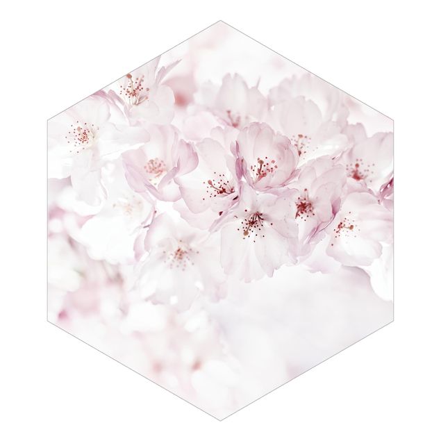 Hexagon Behang A Touch Of Cherry Blossoms