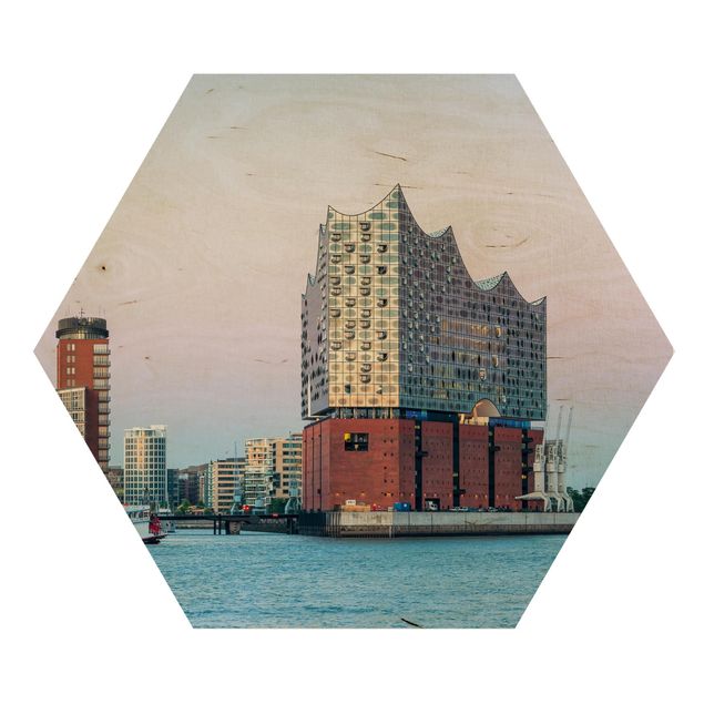 Hexagons houten schilderijen Elbphilharmonie Hamburg