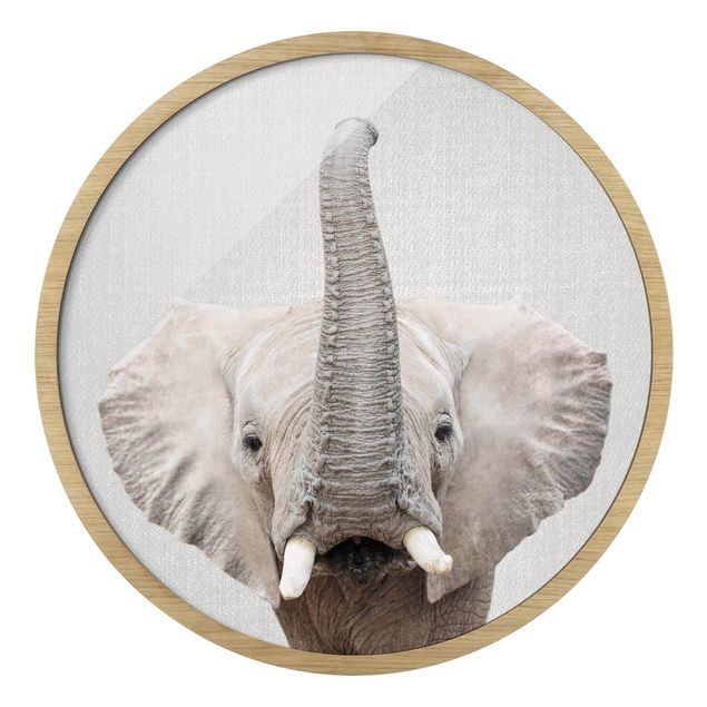 Rond schilderijen Elephant Ewald