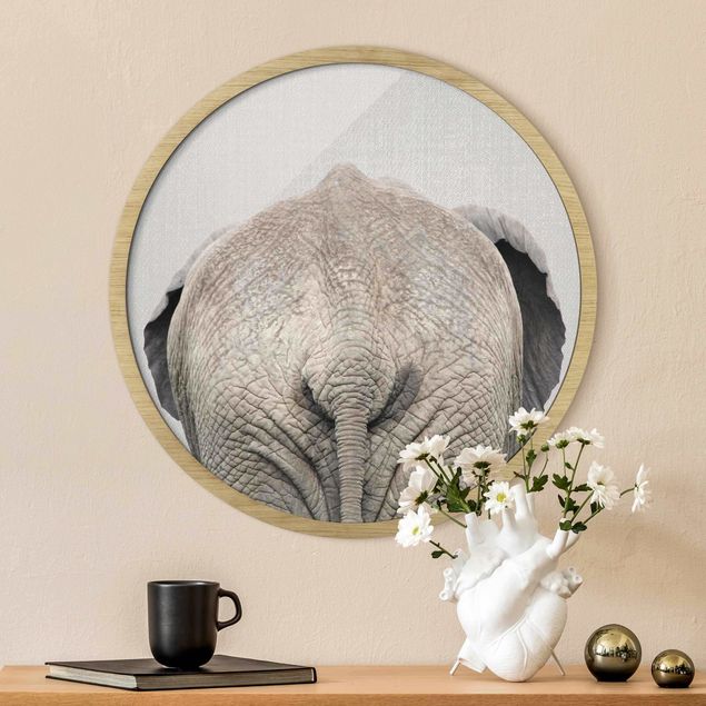 Rond schilderijen Elephant From Behind