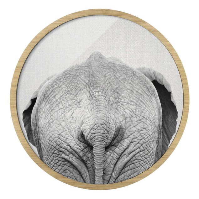 Rond schilderijen Elephant From Behind Black And White