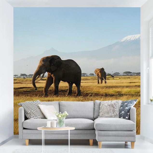 Fotobehang Elephants In Front Of The Kilimanjaro In Kenya