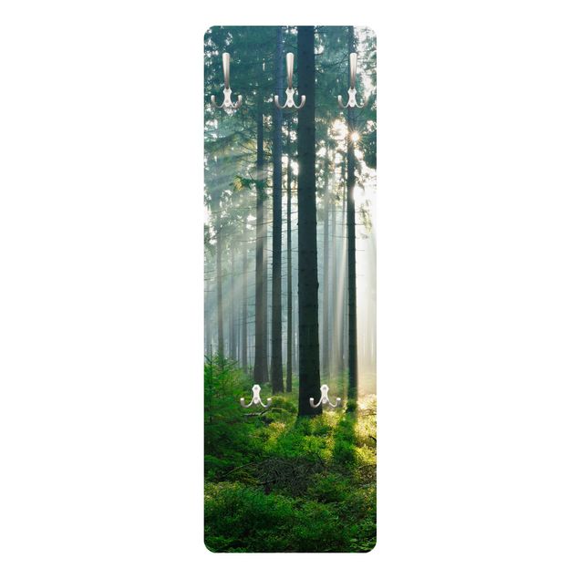 Wandkapstokken houten paneel Enlightened Forest