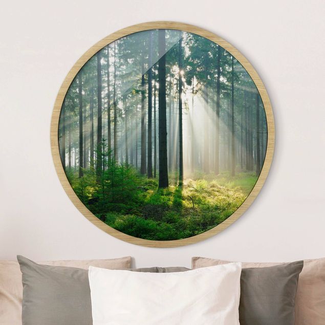 Runde Bilder mit Rahmen Enlightened Forest