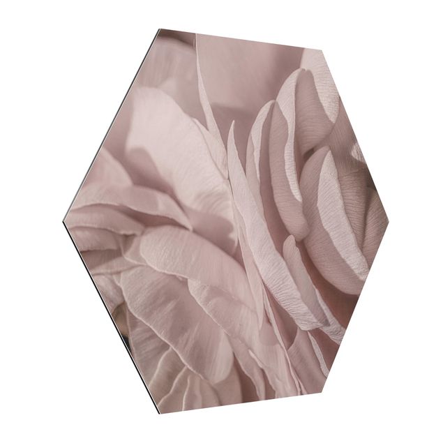 Hexagons Aluminium Dibond schilderijen Blushing Flower