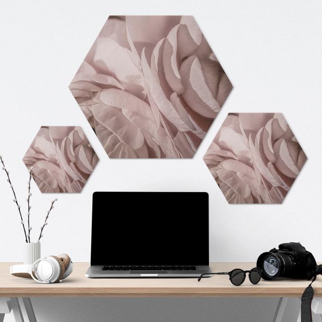 Hexagons Aluminium Dibond schilderijen Blushing Flower