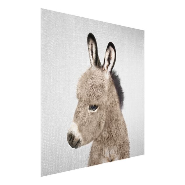 Glasschilderijen - Donkey Ernesto