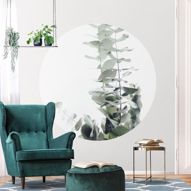 Behangcirkel Eucalyptus In White Light
