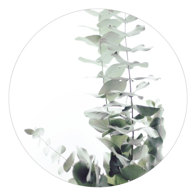 Behangcirkel Eucalyptus In White Light