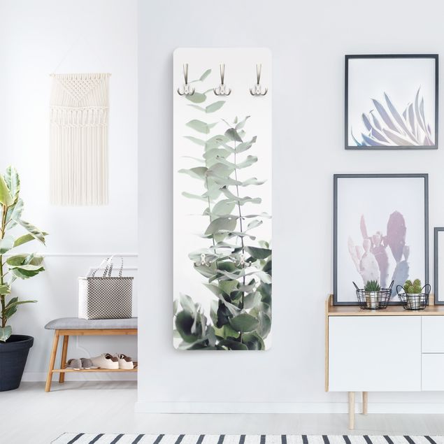 Wandkapstokken houten paneel Eucalyptus In White Light