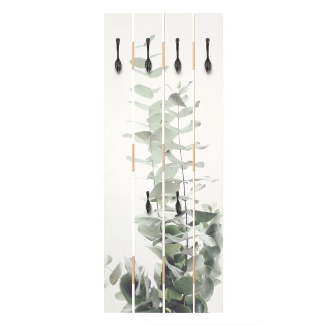 Wandkapstokken houten pallet Eucalyptus In White Light