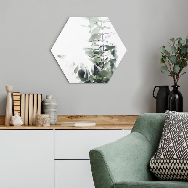 Hexagons Aluminium Dibond schilderijen Eucalyptus In White Light