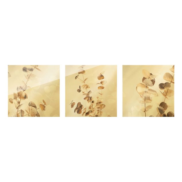 Glasschilderijen - 3-delig Eucalyptus Branches In Gold