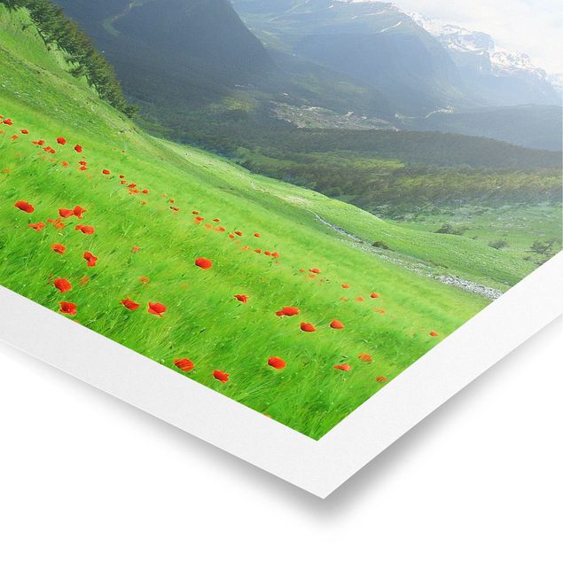 Posters Alpine Meadow