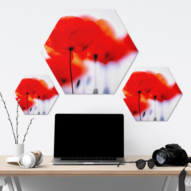 Hexagons Aluminium Dibond schilderijen Magic Poppies