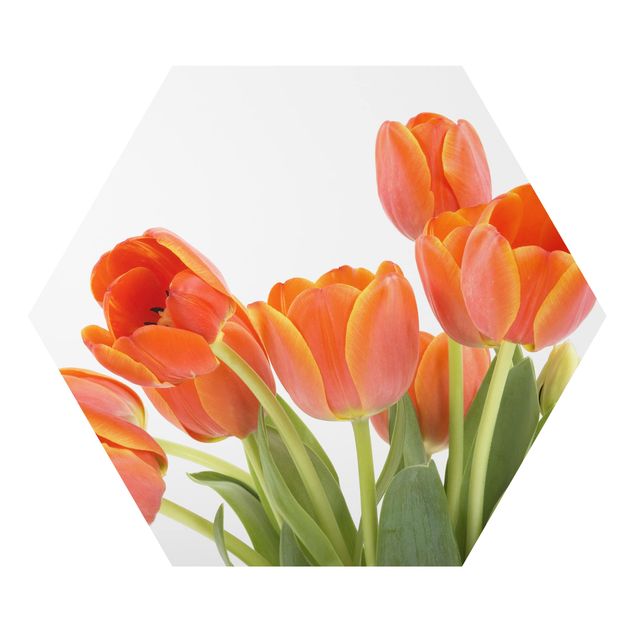 Hexagons Aluminium Dibond schilderijen No.191 Tulips