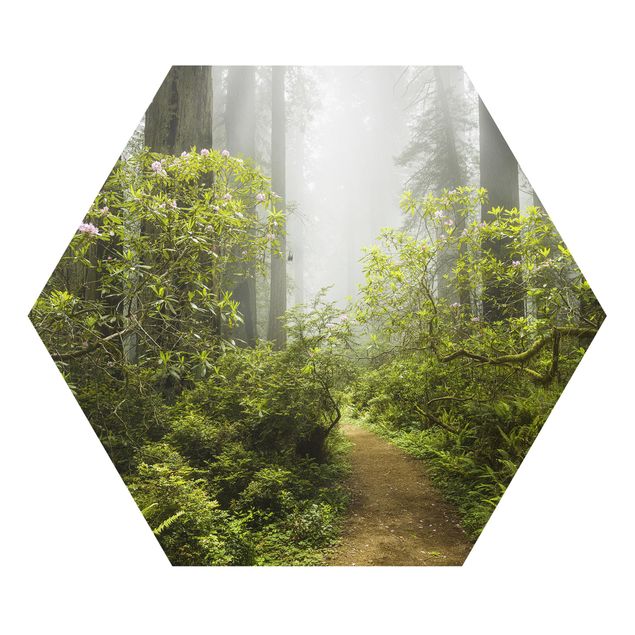 Hexagons Forex schilderijen Misty Forest Path
