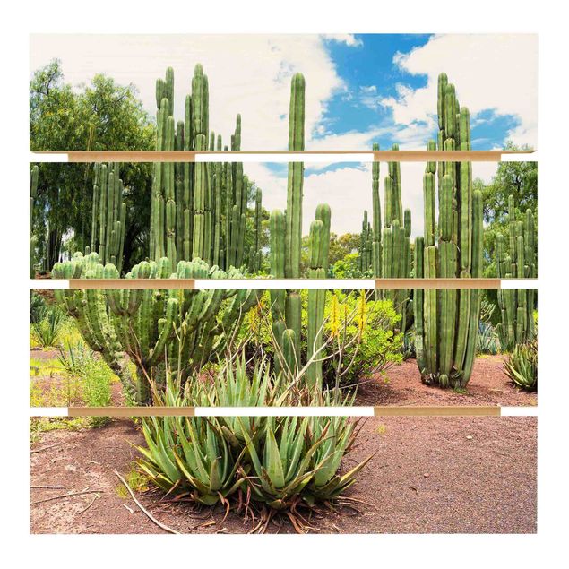 Houten schilderijen op plank Cactus Landscape