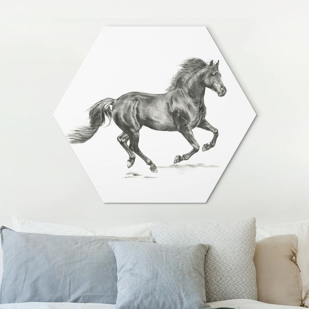Hexagons Aluminium Dibond schilderijen Wild Horse Trial - Stallion