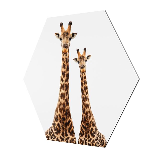 Hexagons Aluminium Dibond schilderijen Portait Of Two Giraffes