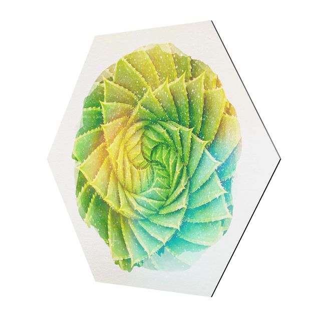 Hexagons Aluminium Dibond schilderijen WaterColours - Spiral Aloe