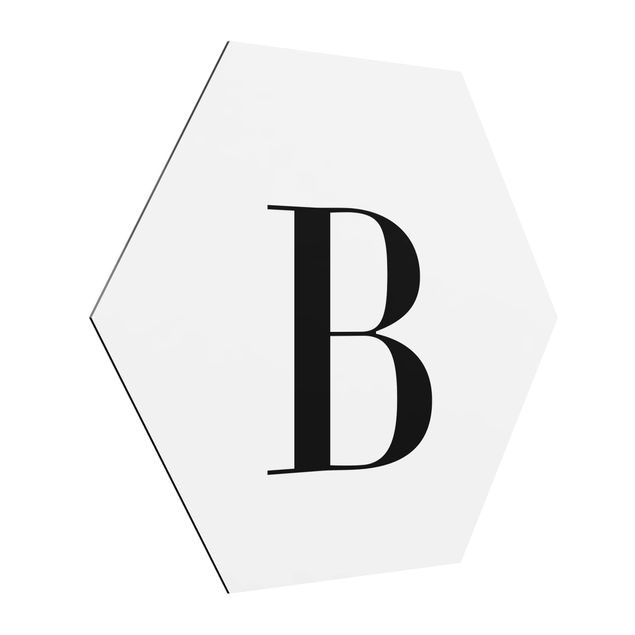 Hexagons Aluminium Dibond schilderijen Letter Serif White B