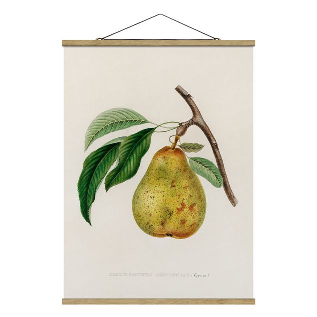 Stoffen schilderij met posterlijst Botany Vintage Illustration Yellow Pear