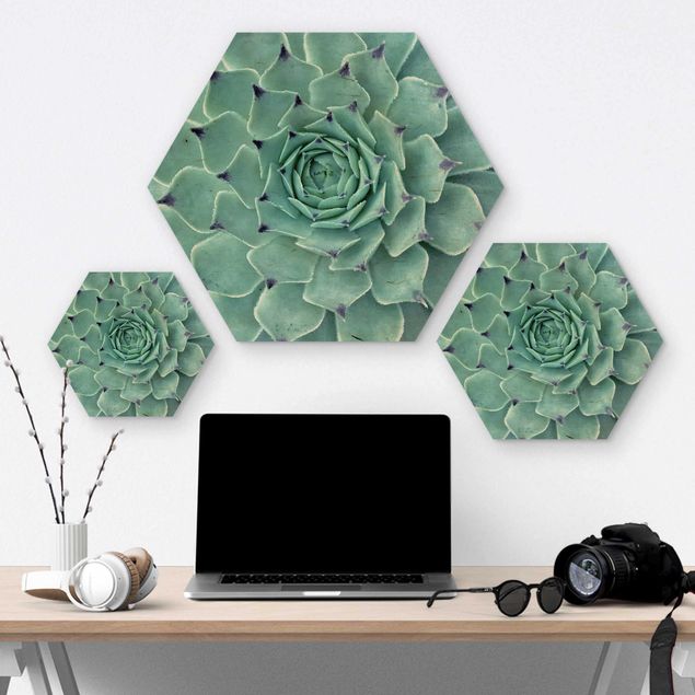 Hexagons houten schilderijen Cactus Agave