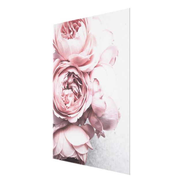 Glasschilderijen Rosa Pfingstrosenblüten Shabby Pastell