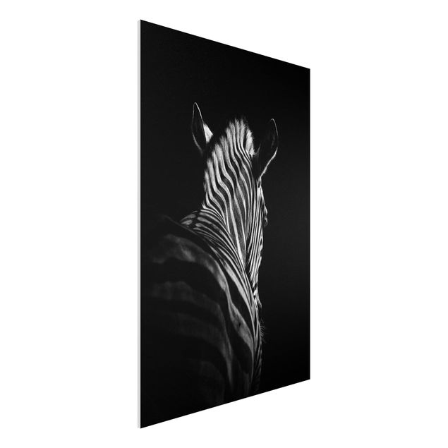 Forex schilderijen Dark Zebra Silhouette