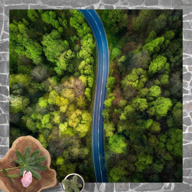 tapijt modern Aerial Image - Paved Road In the Forest