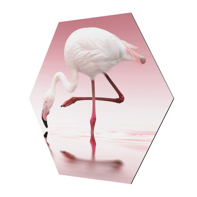 Hexagons Aluminium Dibond schilderijen Flamingo Dance