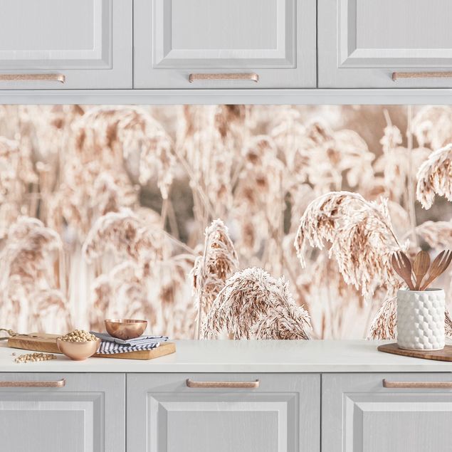Achterwand voor keuken bloemen An Ocean Of Sunlit Reed