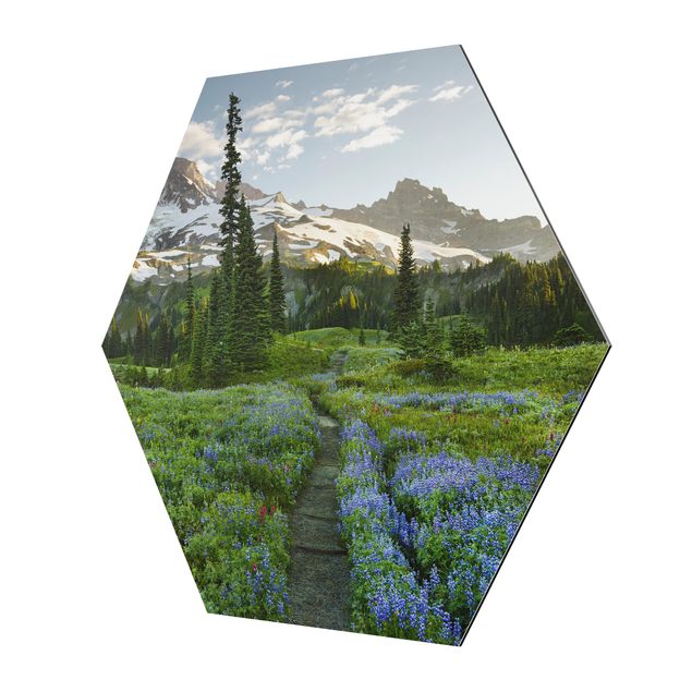Hexagons Aluminium Dibond schilderijen Mountain View Meadow Path